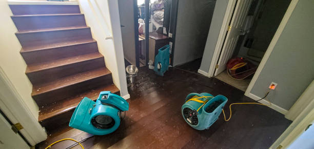 Best Water damage restoration services  in Alexander, AR
