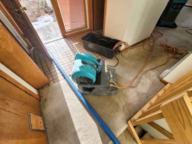 Best Fire Damage Restoration  in Alexander, AR