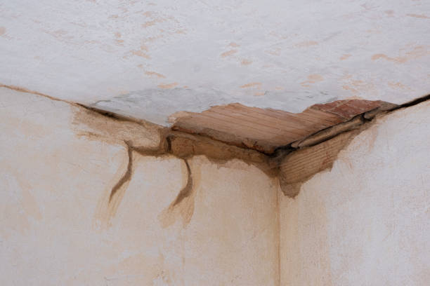 Professional Water damage restoration in Alexander, AR
