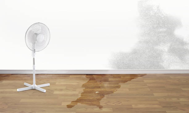 Best Commercial water damage restoration  in Alexander, AR