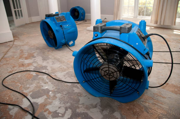 Best Water damage restoration near me  in Alexander, AR