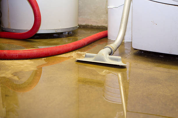 Best Ceiling water damage repair  in Alexander, AR