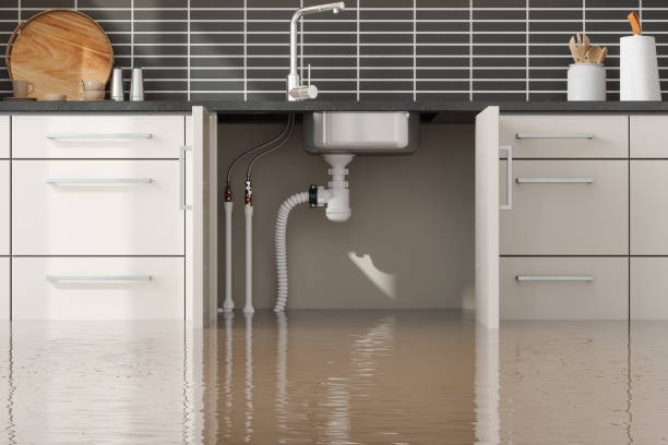 Best Basement water damage restoration  in Alexander, AR